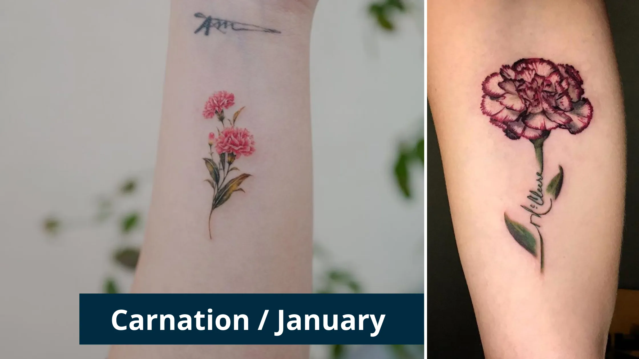 Birth flowers tattoo ideas 2021 -Carnation January