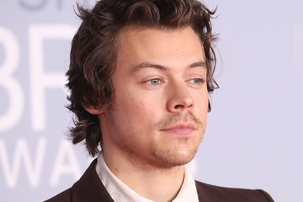 Who is Harry Styles? Facts, Biography, Girlfriends...